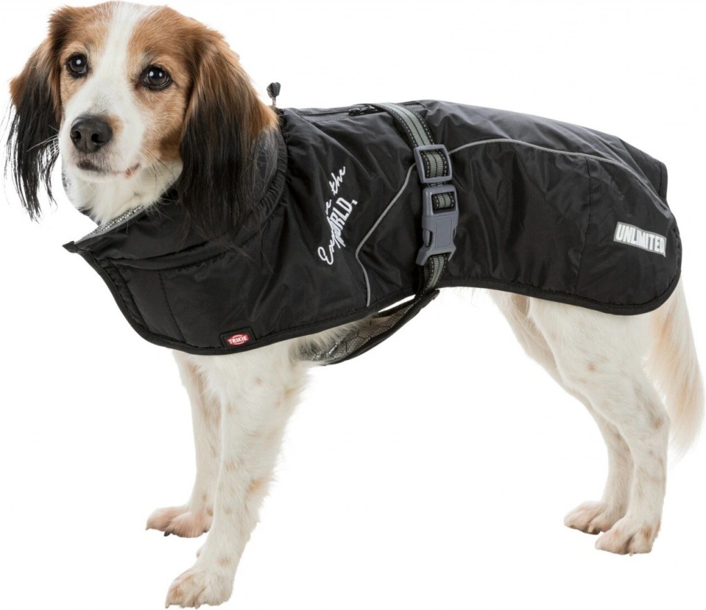 Psí oblečky: Proč, kdy a jak vybrat ten správný?